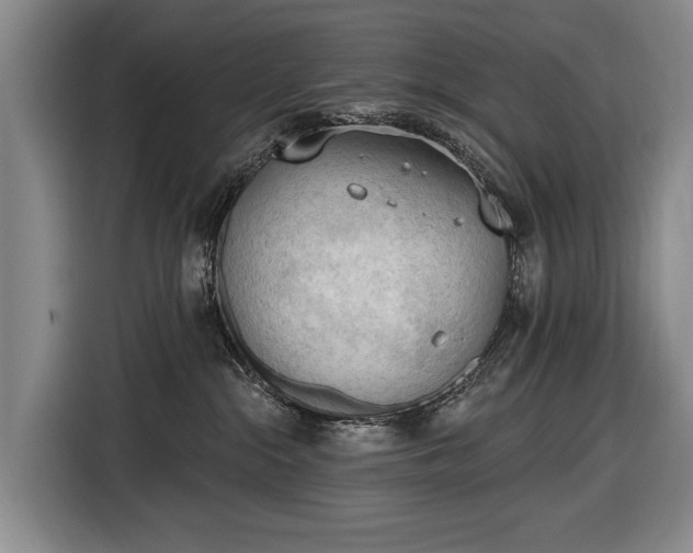 X0000116510284200912161345