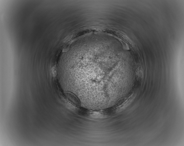 X0000116510285200912161345