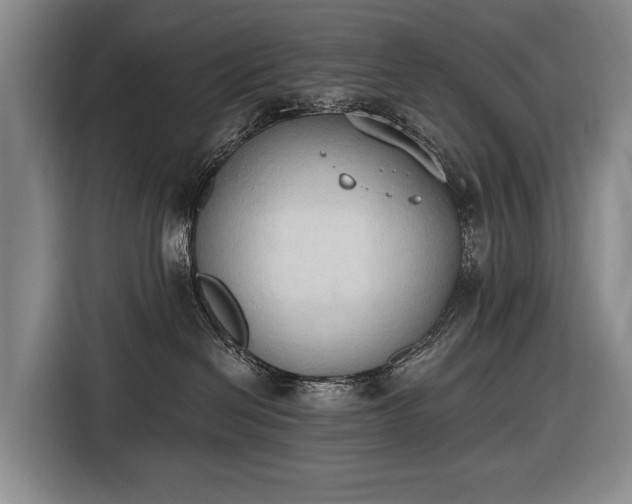 X0000116510286200912161345