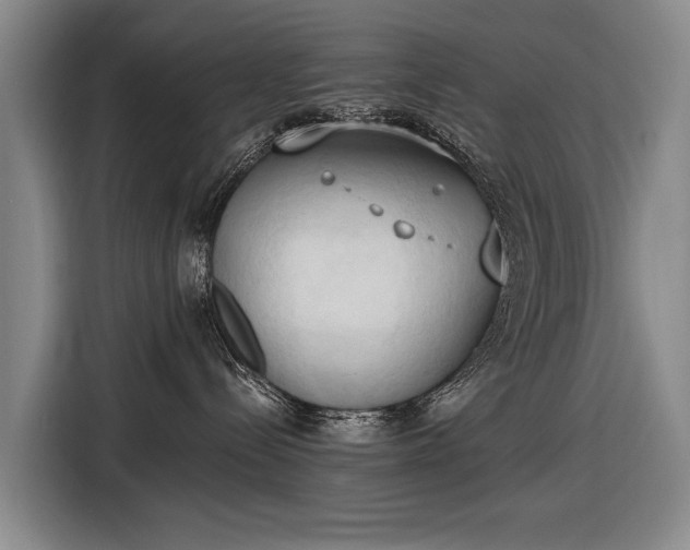 X0000116510288200912161345