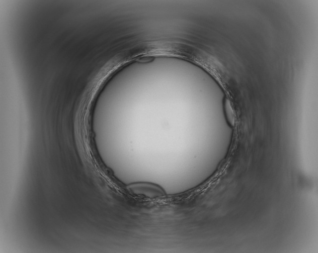 X0000116510289200912161344