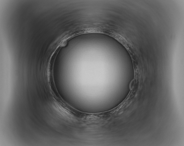 X0000116510290200912161344