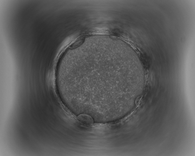 X0000116510293200912161344