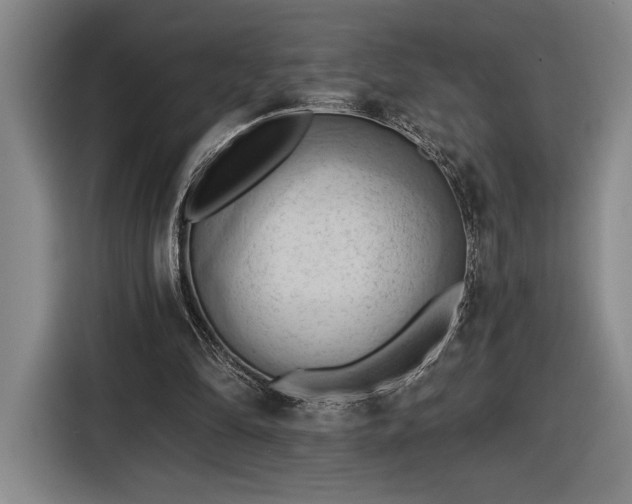 X0000116510294200912161344