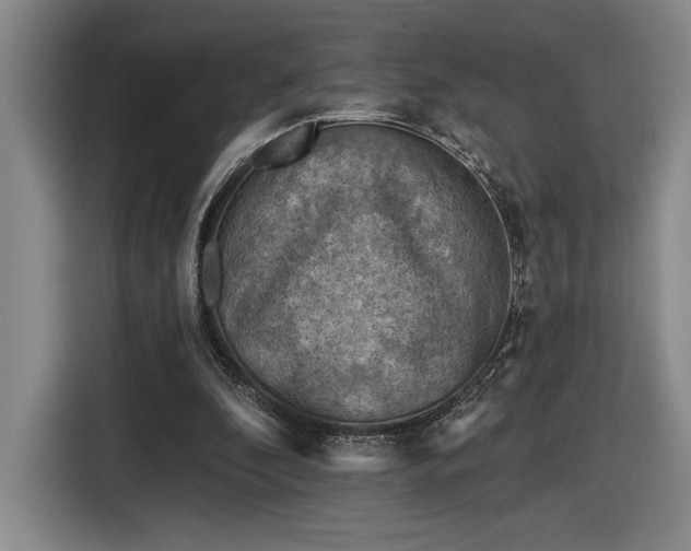 X0000116510296200912161344