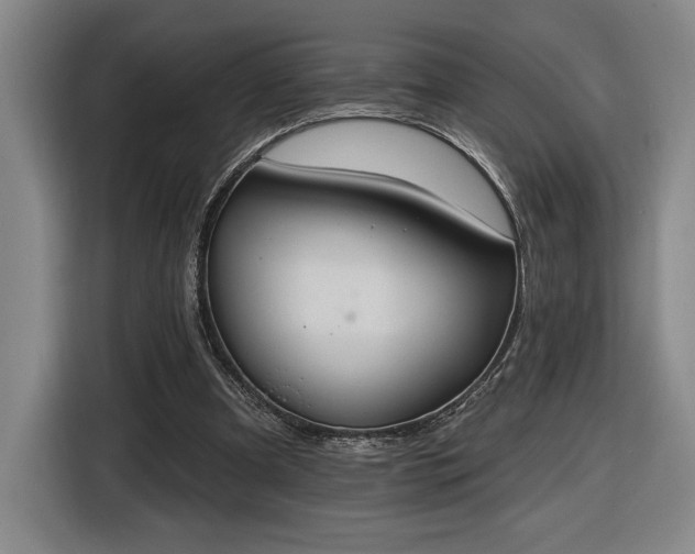 X0000116510297200912161344