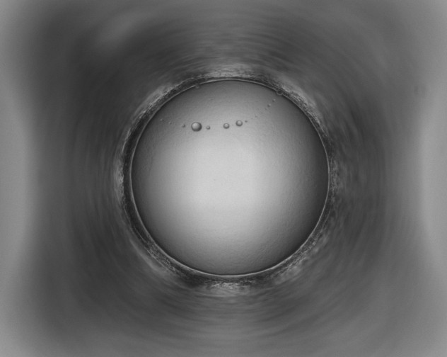 X0000116510298200912161344