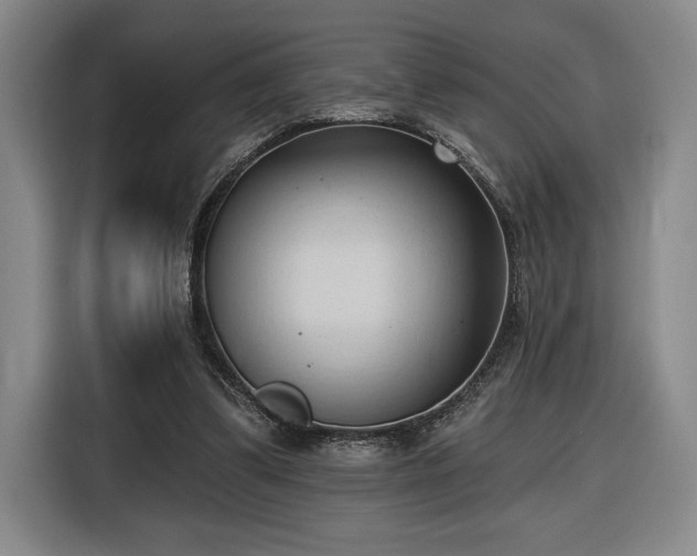 X0000116510299200912161344