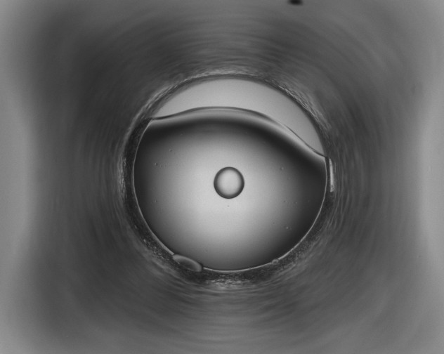 X0000116510300200912161344