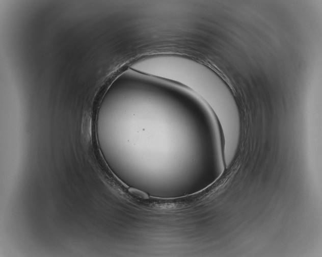 X0000116510301200912161344