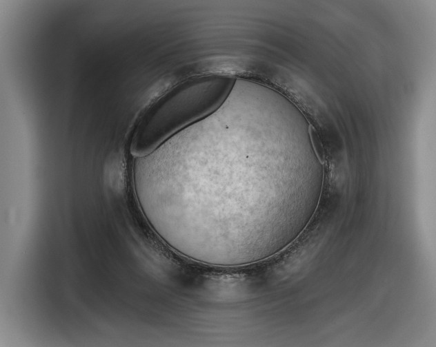 X0000116510304200912161344