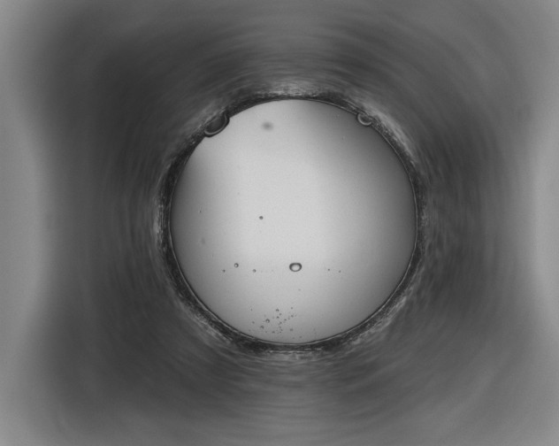 X0000116510305200912161344