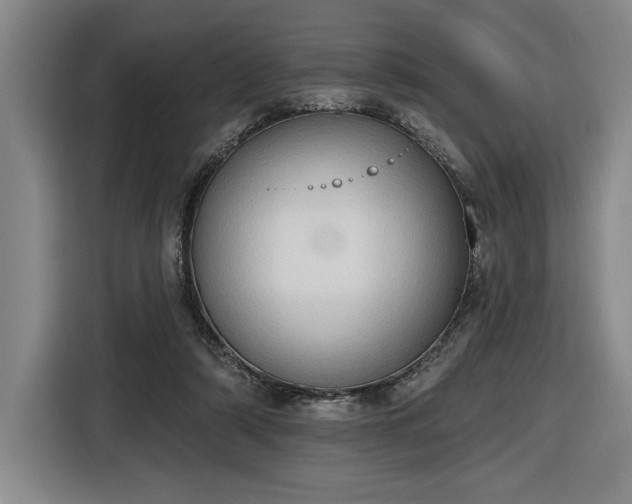 X0000116510306200912161344