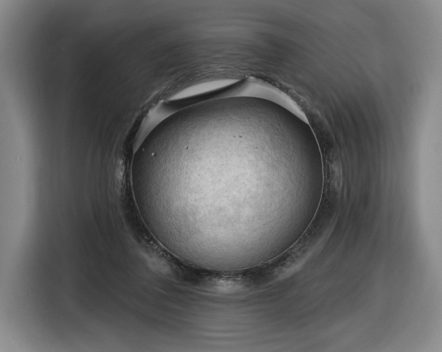 X0000116510308200912161344