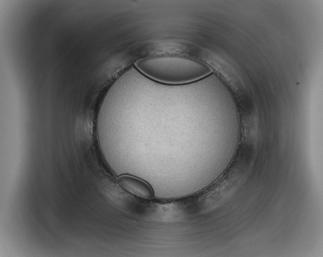 X0000116510309200912161344