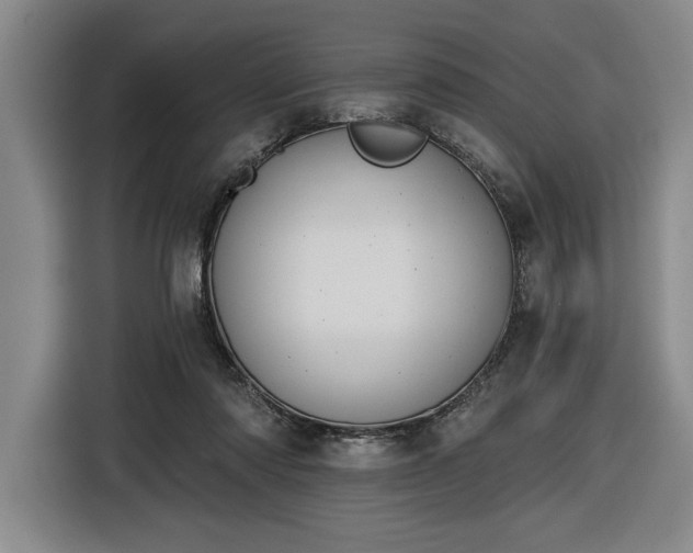 X0000116510310200912161344