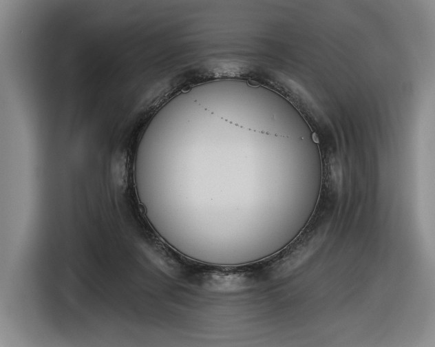 X0000116510311200912161344