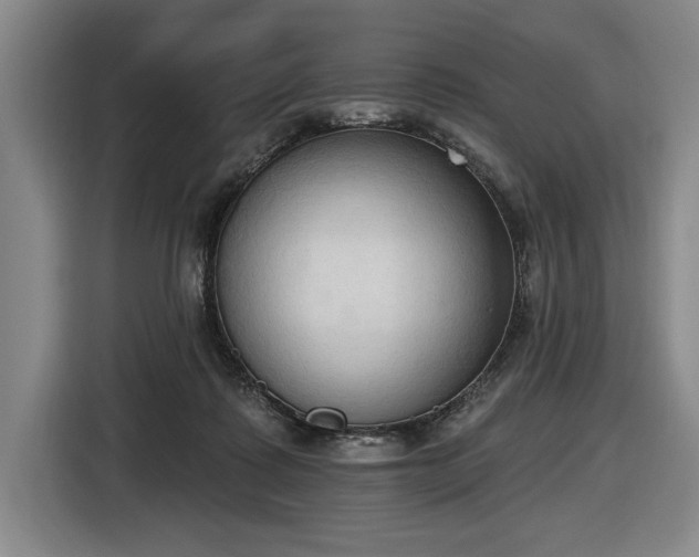 X0000116510315200912161344