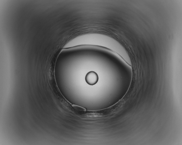 X0000116510316200912161344