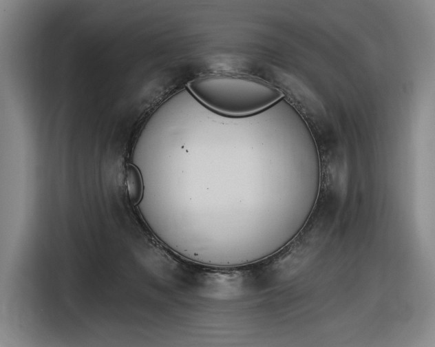 X0000116510317200912161344