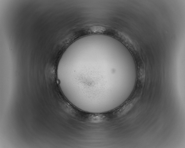 X0000116510321200912161344