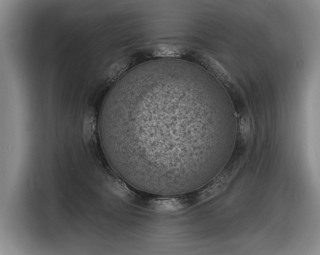 X0000116510322200912161344