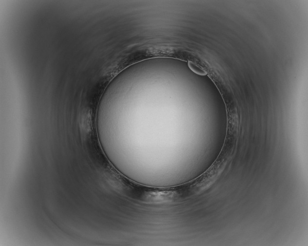 X0000116510323200912161344