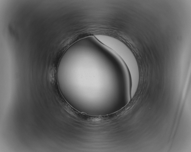 X0000116510325200912161344