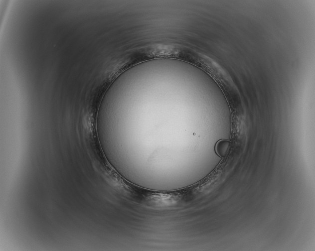 X0000116510326200912161344