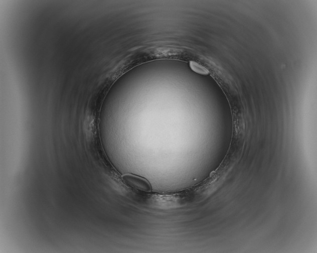 X0000116510327200912161344