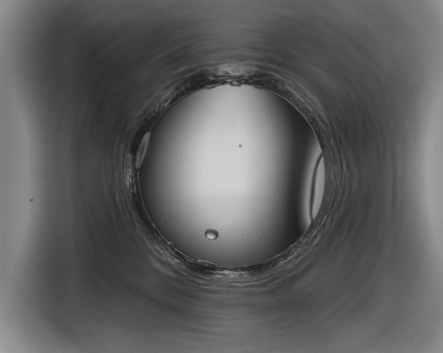 X0000116510328200912161344