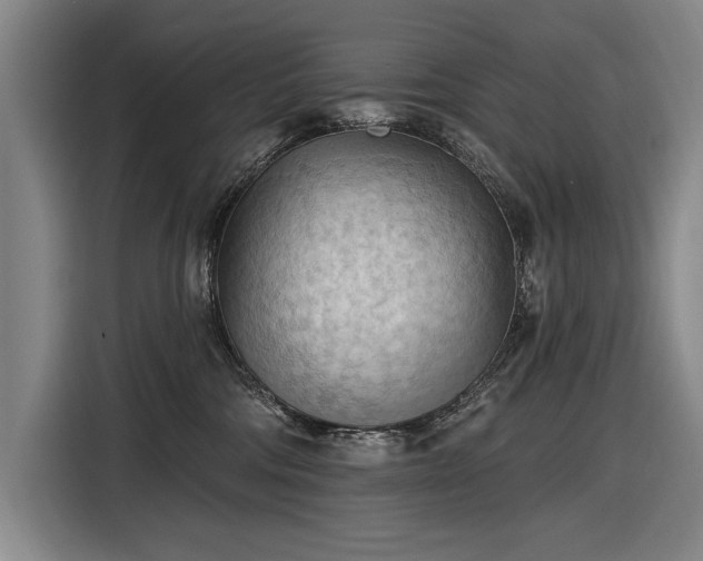 X0000116510330200912161344