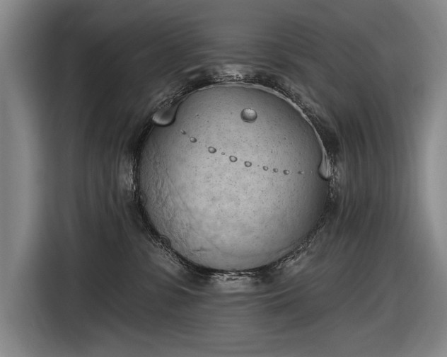 X0000116510331200912161344