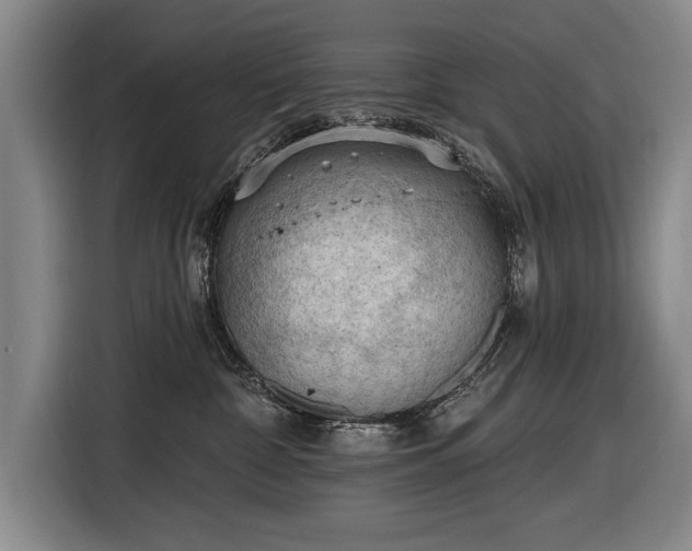 X0000116510332200912161344