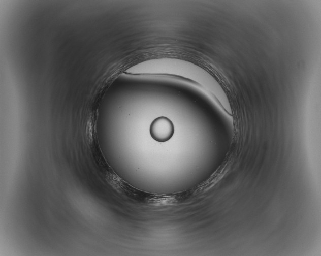 X0000116510333200912161343