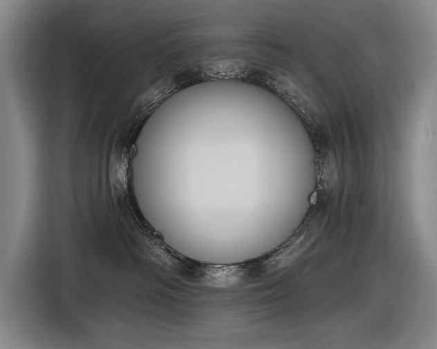 X0000116510334200912161343