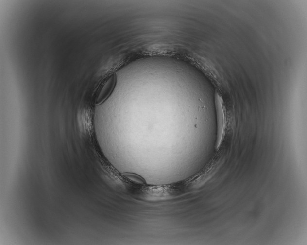 X0000116510335200912161343