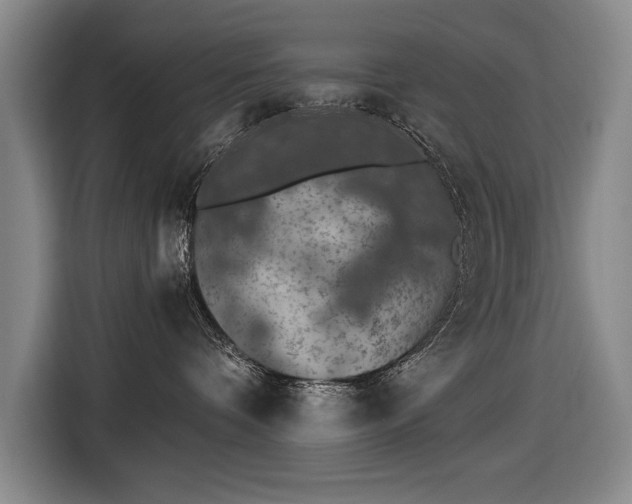 X0000116510336200912161343