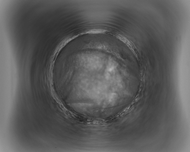 X0000116510337200912161343