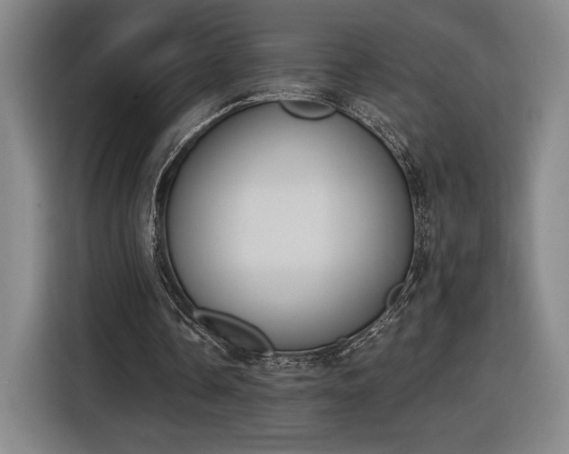 X0000116510338200912161343