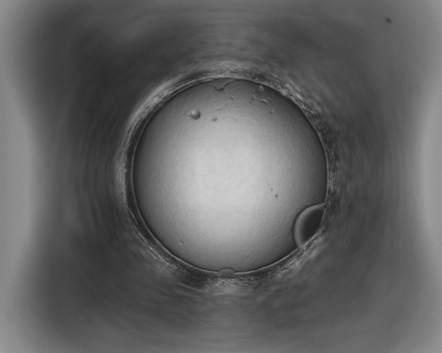 X0000116510341200912161343