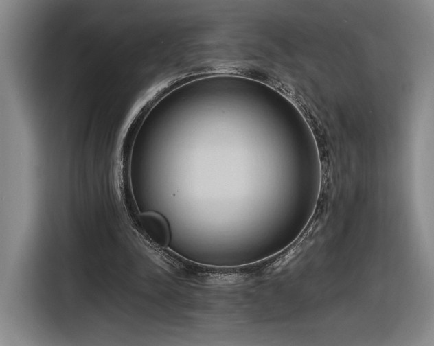 X0000116510342200912161343