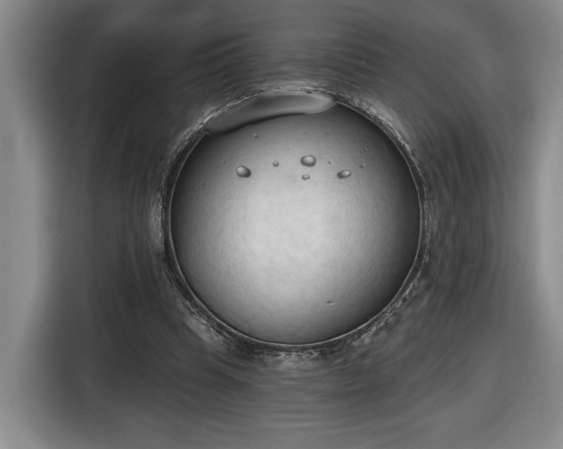 X0000116510345200912161343