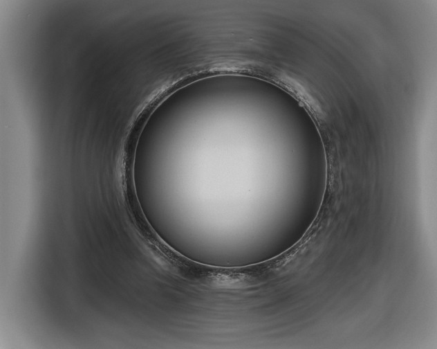 X0000116510346200912161343