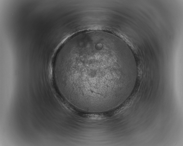 X0000116510347200912161343