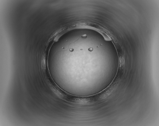 X0000116510349200912161343