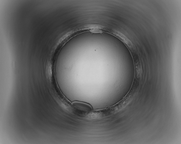 X0000116510350200912161343