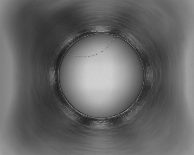 X0000116510351200912161343