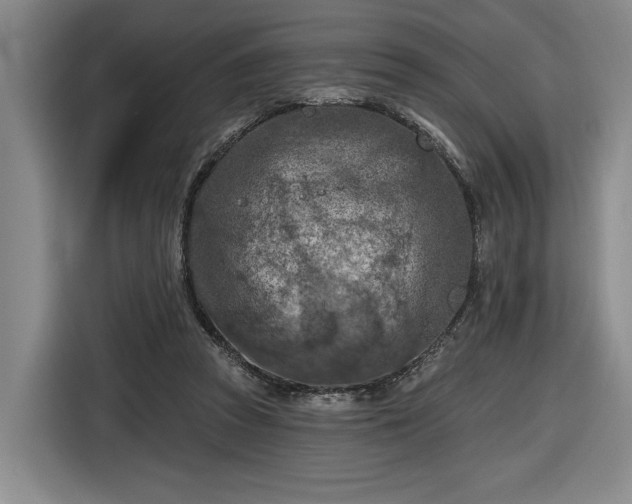 X0000116510353200912161343