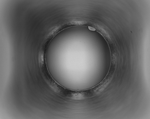 X0000116510358200912161343